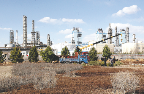 体育比赛平台App界面展示